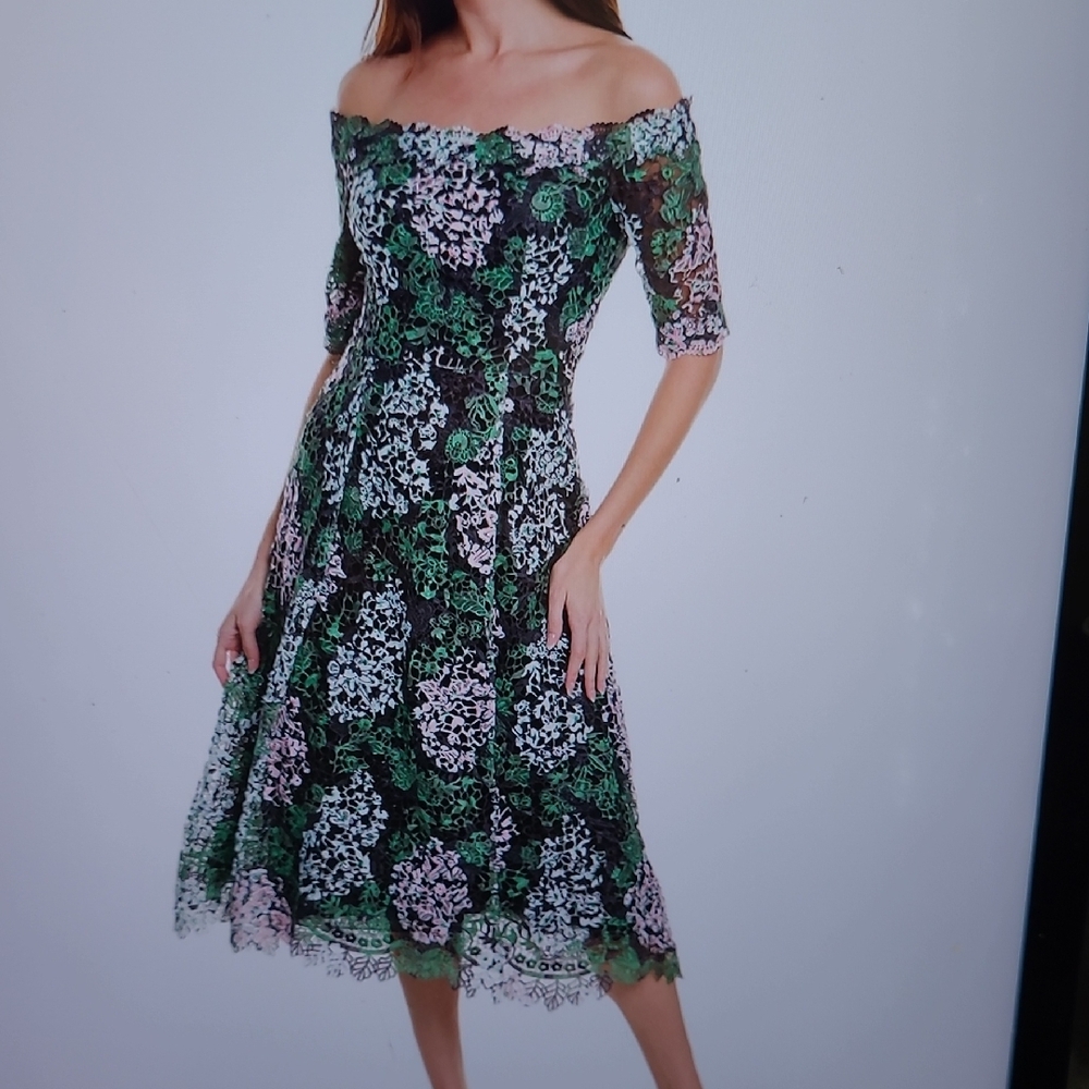 Ricki Freeman,Elegant Green and Black Lace Dress